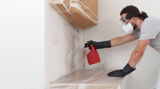 Professional Mold Cleanup technician working in Bethel, NC