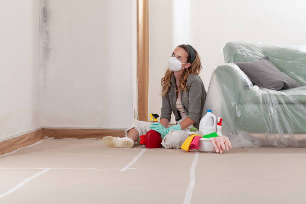 Reliable Mold Cleanup contractor in Bethel, NC by WQB Mold Removal